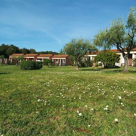 Naturist Park Koversada Villas, Vrsar Zewnętrze zdjęcie